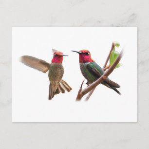 ZWEI FLYING JEWELS POSTKARTE