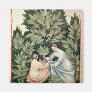Zwei Frauen, die Salbei, von 'Tacuinum auswählen Magnet