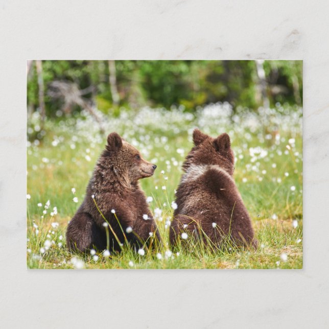 Zwei Freunde tragen Postkarte (Vorderseite)