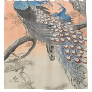 Zwei Friedhöfe auf dem Baumzweig von Ohara Koson Duschvorhang