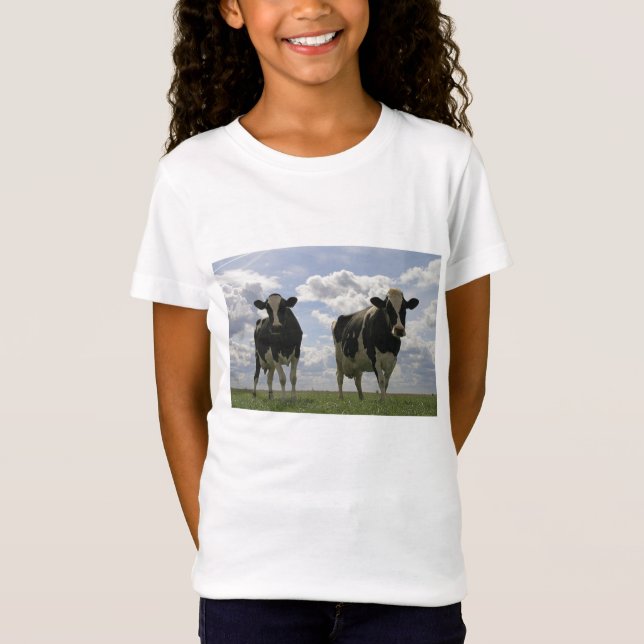 Zwei friesische Kühe T-Shirt (Vorderseite)