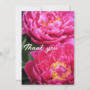 Zwei Fuchsia Peony Blooms Gemälde Dankeskarte