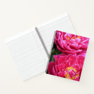 Zwei Fuchsia Peony Blooms Gemälde Notizbuch