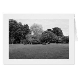 Zwei für die Freude (grenzt)