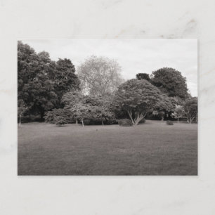 Zwei für die Freude (warm, schwarz und weiß) Postkarte