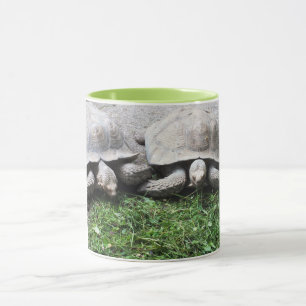 Zwei fütternd Schildkröten Tasse