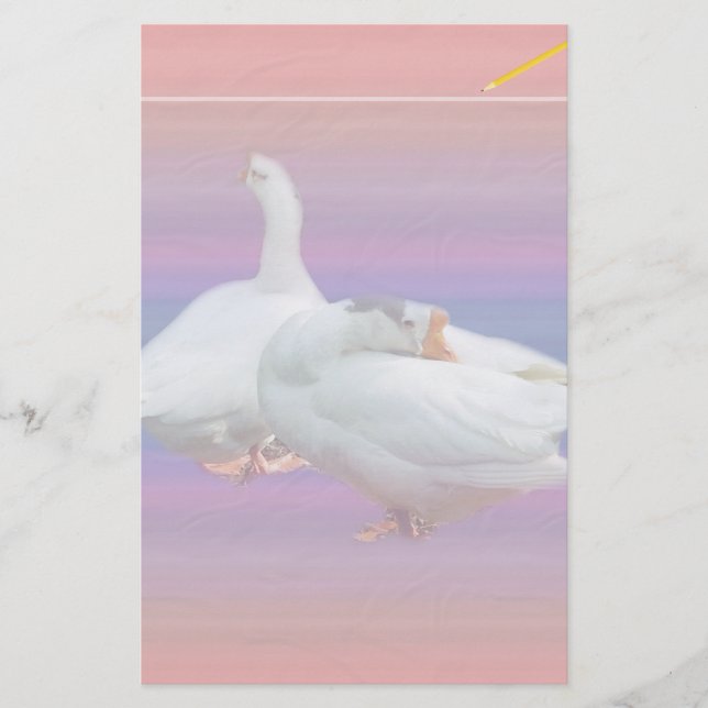 zwei Gänse im extravaganten Hintergrund Briefpapier (Vorderseite)