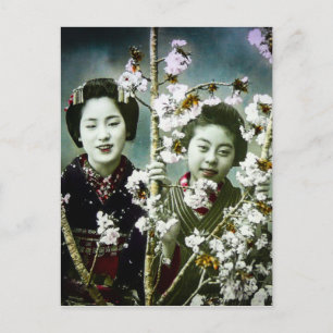 Zwei Geishas Vintage Japan in Blüten Japans Postkarte