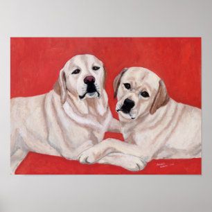 Zwei gelbe Labradors-Artwork Poster
