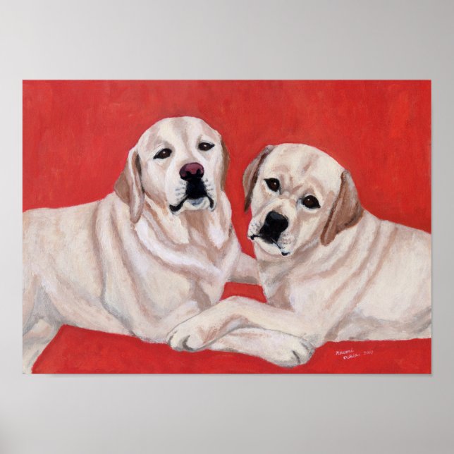 Zwei gelbe Labradors-Artwork Poster (Vorne)