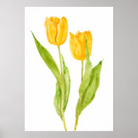 zwei gelbe Tulpen Aquarell