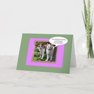 Zwei gemeine Katzen packen den Osterhasen an Feiertagskarte