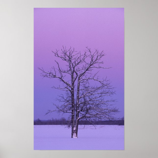 Zwei gepflasterte Bäume bei Sonnenaufgang; Chippew Poster (Vorne)