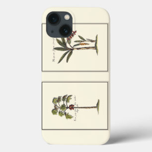 Zwei gerahmte Miniaturpalmen iPhone 13 Hülle