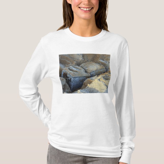 Zwei Geräte mit Box-Typ verpackt T-Shirt (Vorderseite)