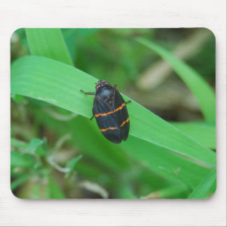Zwei gezeichnetes Spittlewanze mousepad