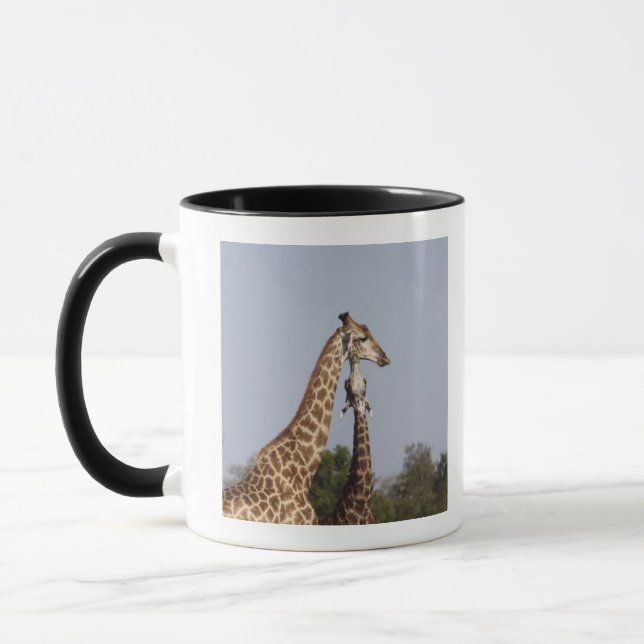 Zwei Giraffe, Kruger Nationalpark, Südafrika Tasse (Links)