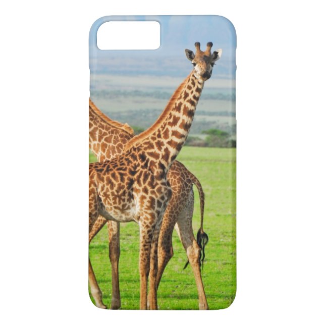 Zwei Giraffen Case-Mate iPhone Hülle (Rückseite)