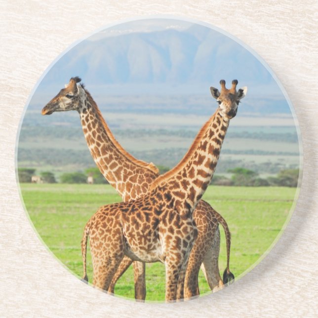 Zwei Giraffen Getränkeuntersetzer (Vorne)