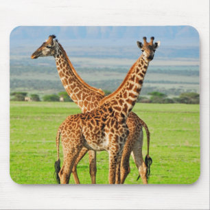 Zwei Giraffen Mousepad