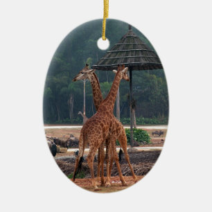 Zwei Giraffen trösten sich gegenseitig in einem Zo Keramik Ornament