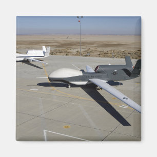 Zwei globale Falken parken auf einer Rampe Magnet