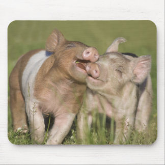 Zwei glückliche Ferkel Mousepad
