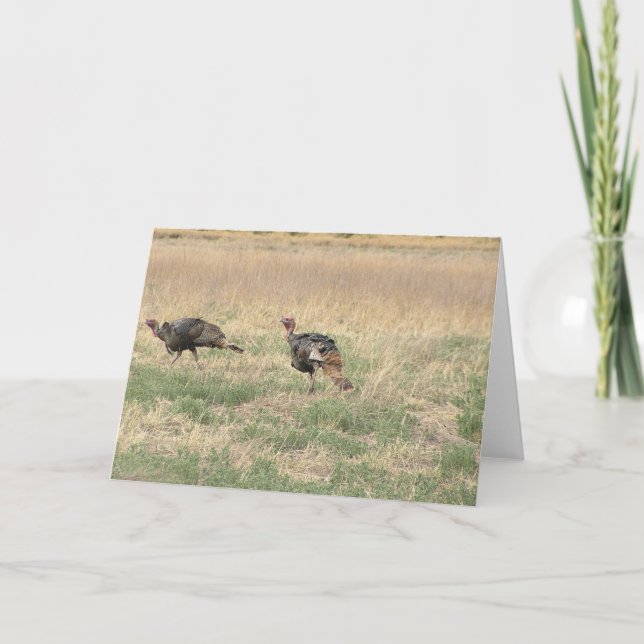 Zwei Gobblers Feiertagskarte (Vorderseite)