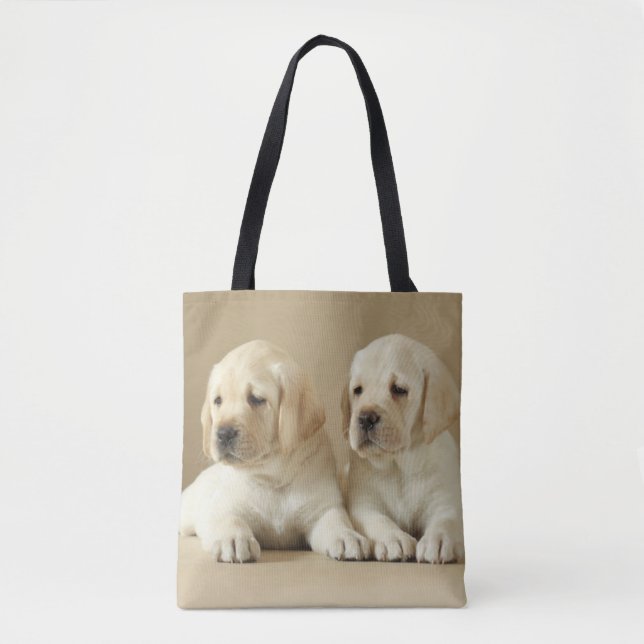 Zwei Golden Labrador Welpen (Vorderseite)