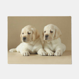 Zwei Golden Labrador Welpen Fußmatte
