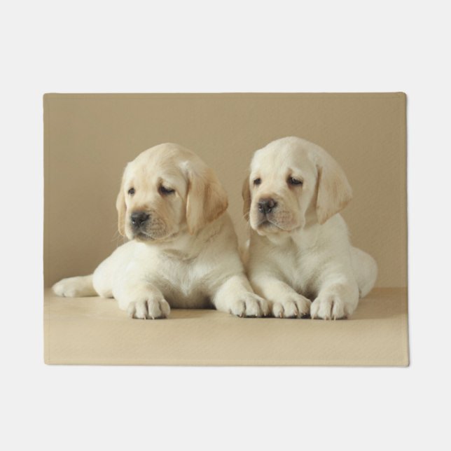 Zwei Golden Labrador Welpen Fußmatte (Vorderseite)
