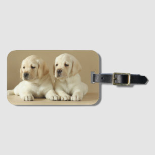 Zwei Golden Labrador Welpen Gepäckanhänger