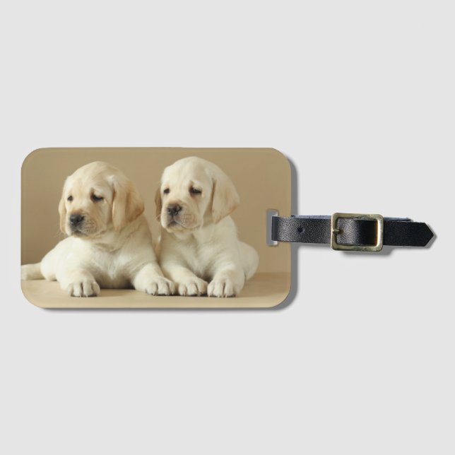 Zwei Golden Labrador Welpen Gepäckanhänger (Vorderseite (Horizontal))