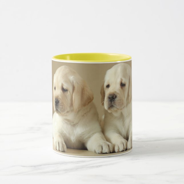 Zwei Golden Labrador Welpen Tasse (Zentrum)