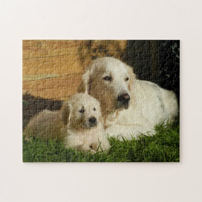 Zwei Golden Retrievers - Mama & Welpe - Liebe Puzzle (Horizontal)