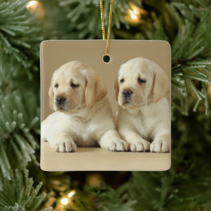 Zwei goldene Labrador-Welpen Keramikornament