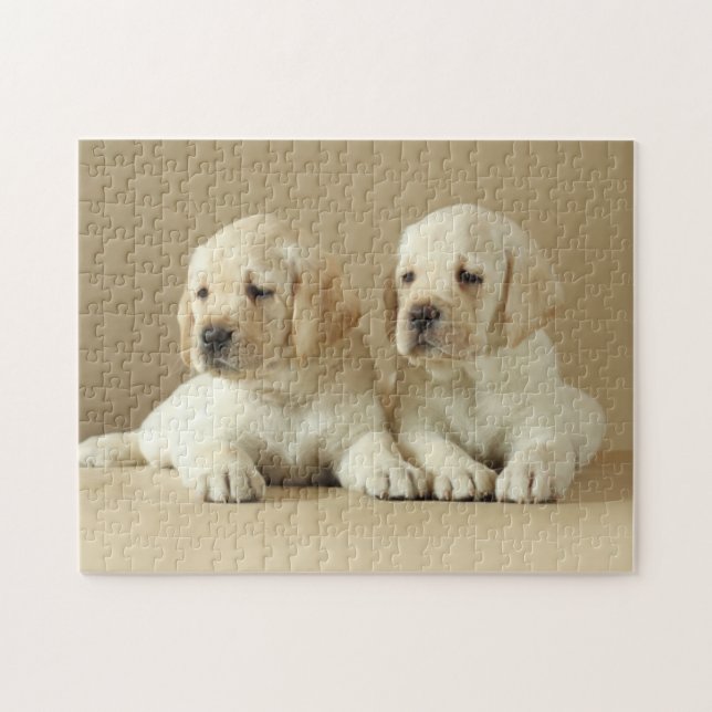 Zwei goldene Labrador-Welpen Puzzle (Horizontal)