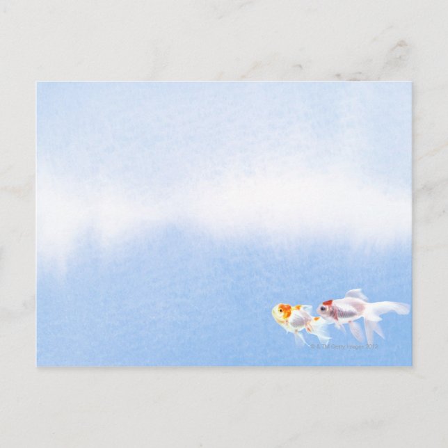 Zwei Goldfish Postkarte (Vorderseite)