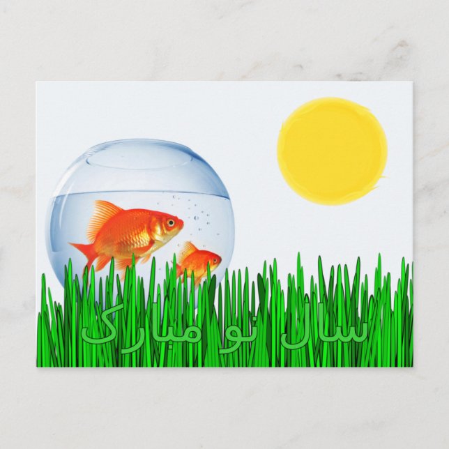 Zwei Goldfish Sonnenfrühlings-Equinox-Gras س ا ن ل Postkarte (Vorderseite)