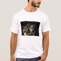 Zwei graue Katzen Herren-T - Shirt