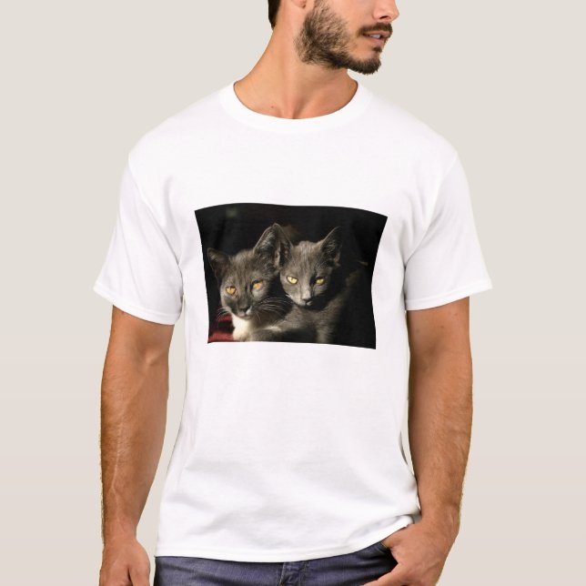 Zwei graue Katzen Herren-T - Shirt (Vorderseite)