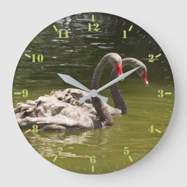 Zwei graue Schwäne auf dem See Große Wanduhr (Vorderseite)