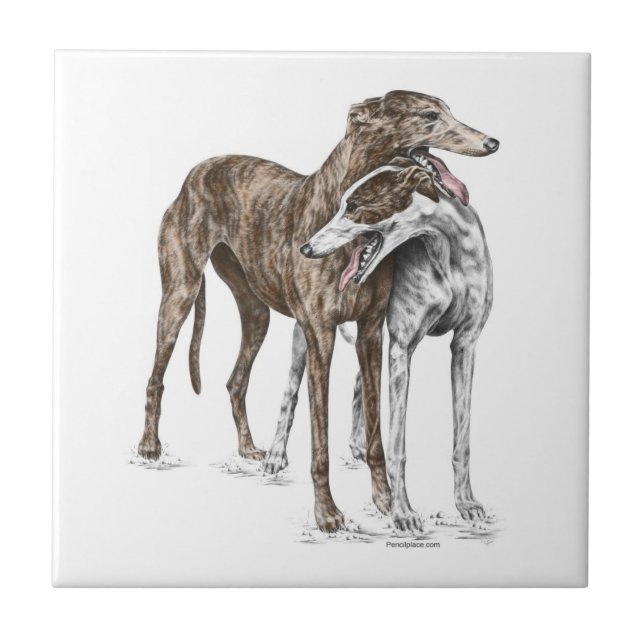 Zwei Greyhound Friends Dog Art Fliese (Vorderseite)
