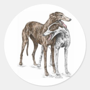 Zwei Greyhound Friends Dog Art Runder Aufkleber