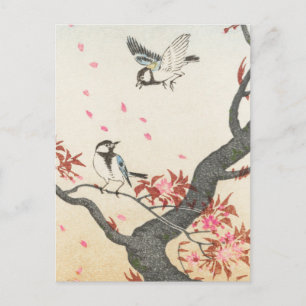 Zwei großartige Tit am blühenden Baum von Ohara Ko Postkarte