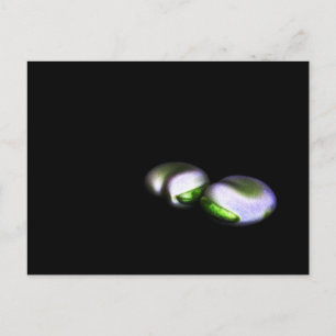 Zwei große Bohnen pca Postkarte