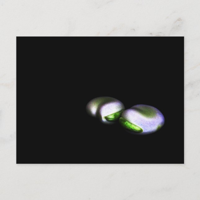 Zwei große Bohnen pca Postkarte (Vorderseite)