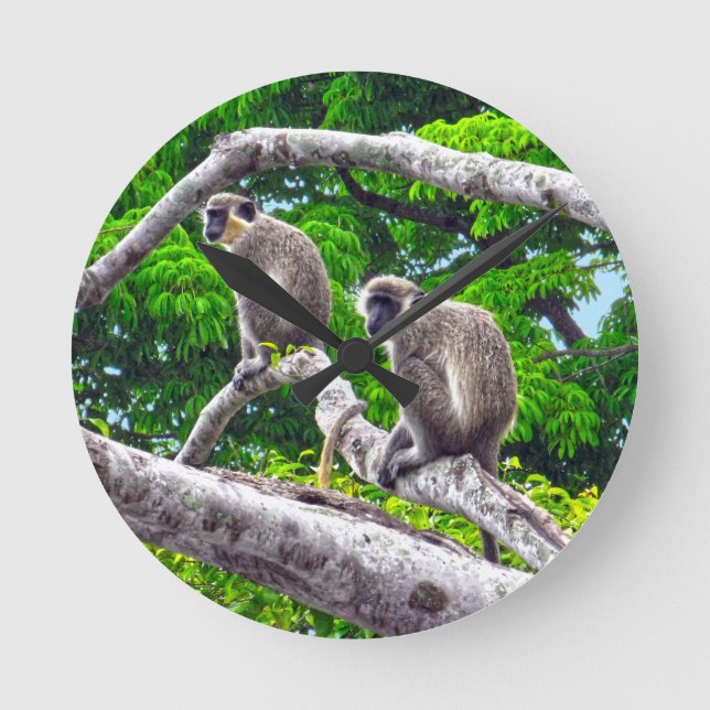 Zwei grüne Affen sitzen in der Baumdruckuhr Runde Wanduhr (Vorderseite)