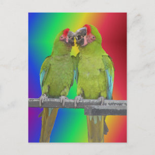 Zwei grüne Paprika Rainbow DIY Postkarte
