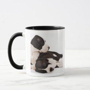 Zwei Harlekin-Dogge-Welpen Tasse